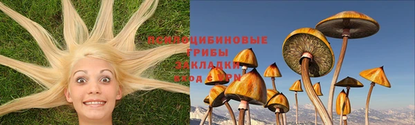 винт Арсеньев