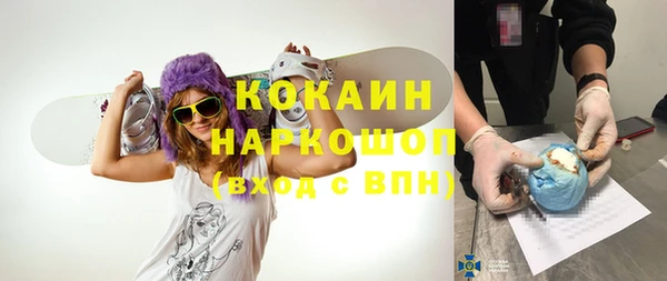 прущие грибы Покачи