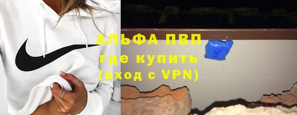 прущие грибы Покачи