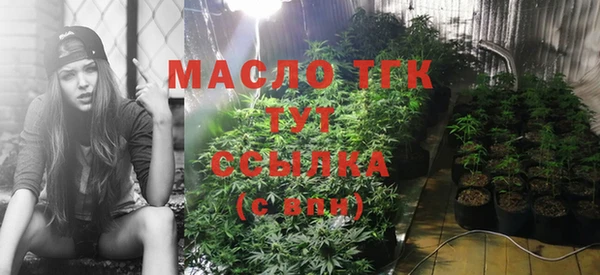 прущие грибы Покачи