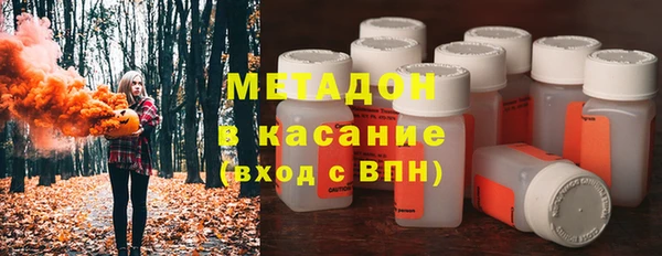 прущие грибы Покачи